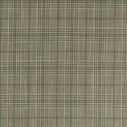 [660335] LIGHT GREEN,CHECKS