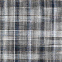 [660339] BLUE,BROWN CHECKS