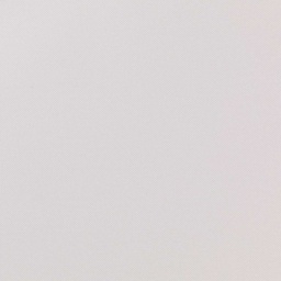 [660607] WHITE,PLAIN