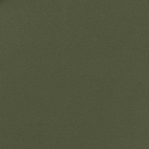 [660624] OLIVE,PLAIN