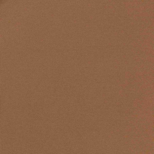 [660626] BROWN,PLAIN